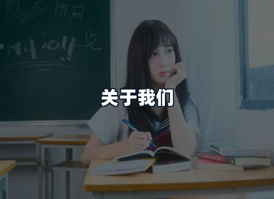 关于我们